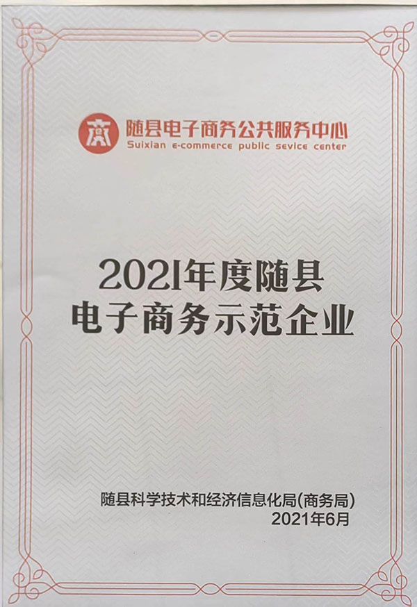 2021年度隨縣電子商務示范企業