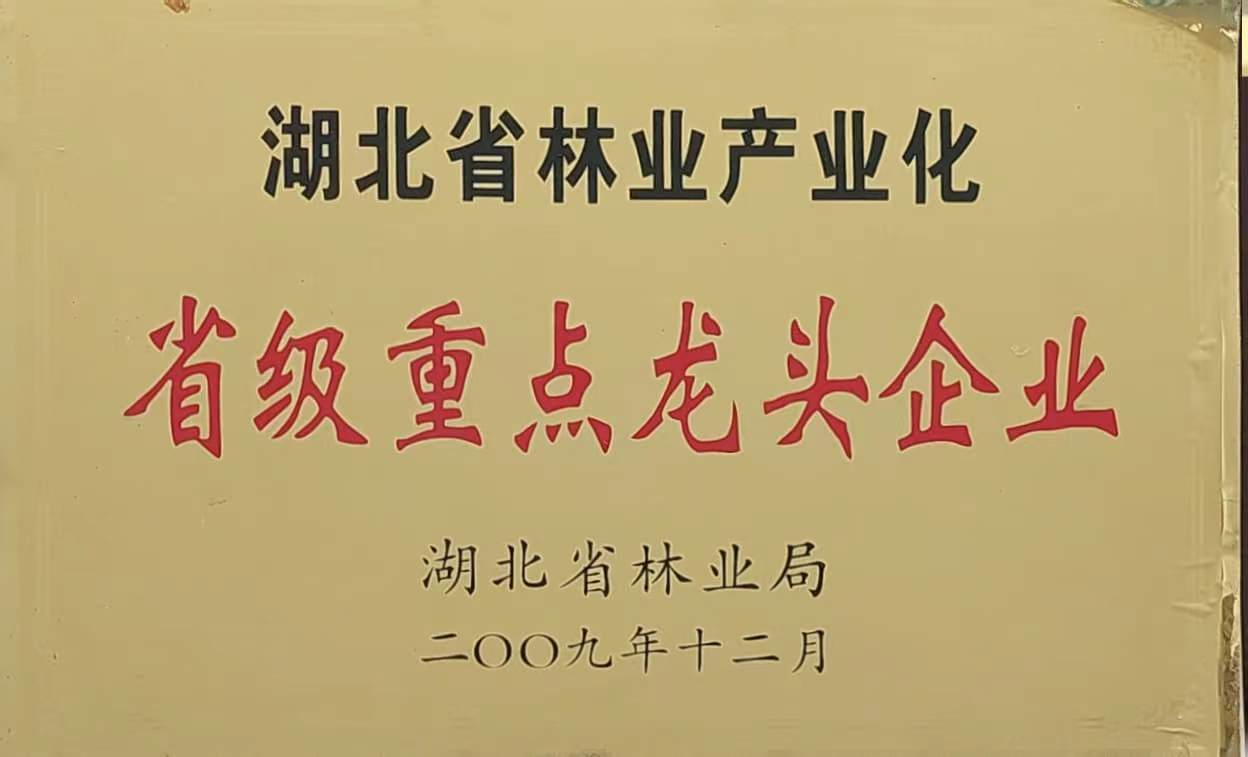 省林業產業化重點龍頭企業（2009）