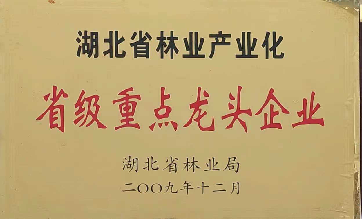 省林業產業化重點龍頭企業（2009.12).jpg