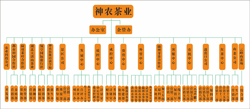 網站組織機構.jpg